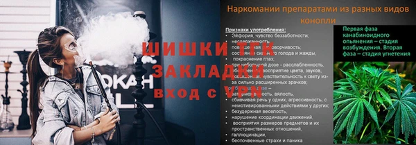 Альфа ПВП Абаза