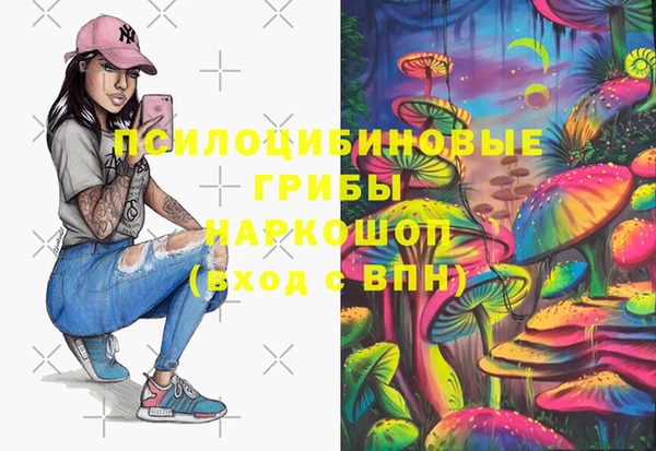 Альфа ПВП Абаза