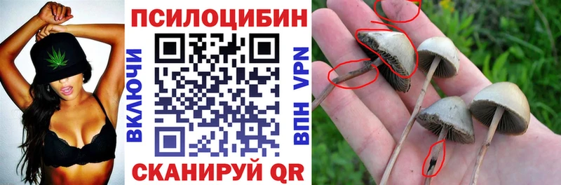 Псилоцибиновые грибы прущие грибы  гидра ТОР  Усмань 
